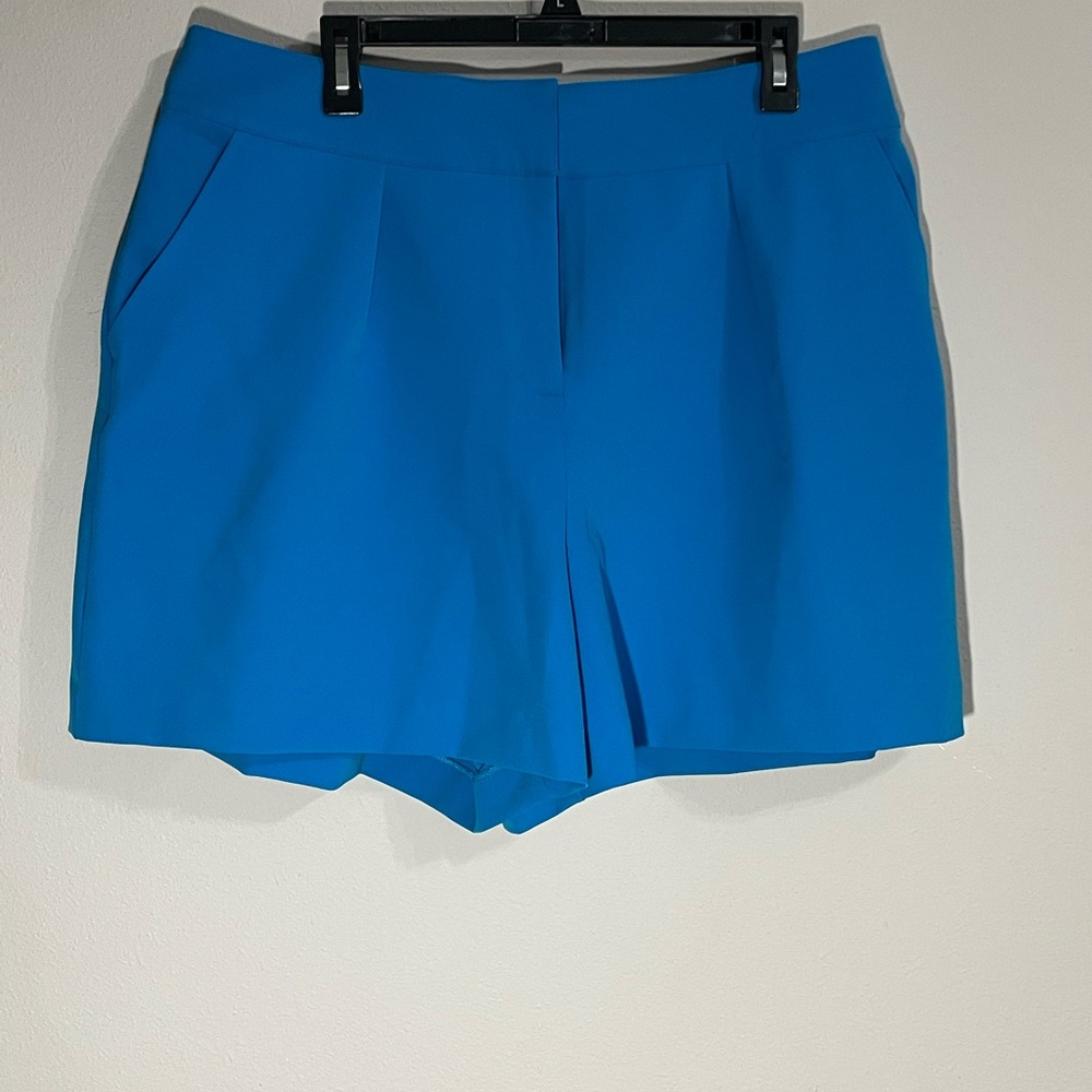 Blue Shorts NWT